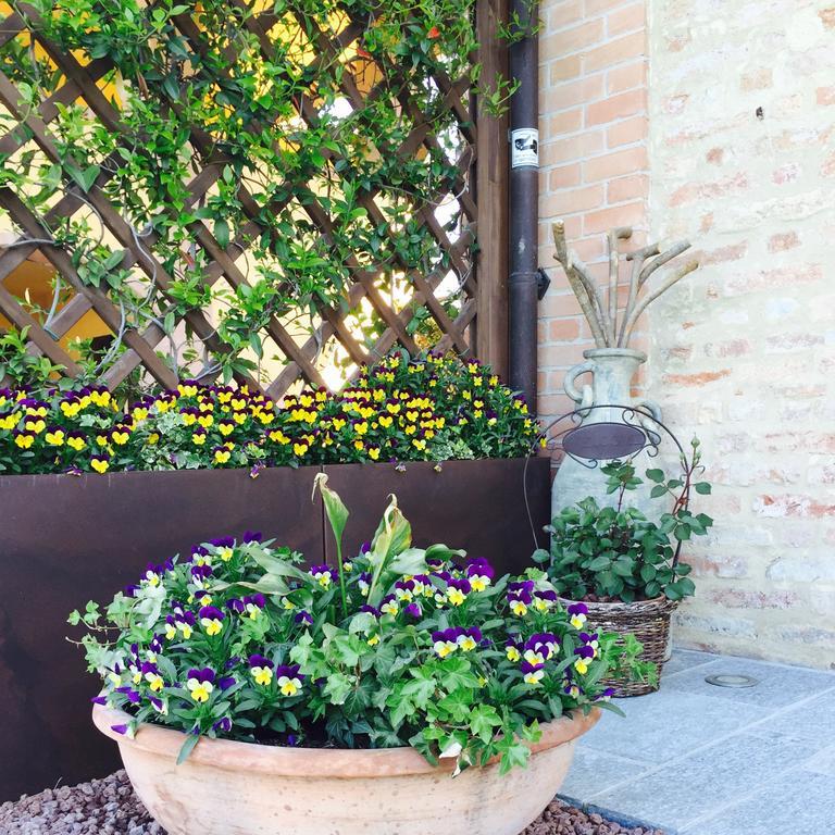 Cascina Cortine Bed & Breakfast Guarene Exterior foto