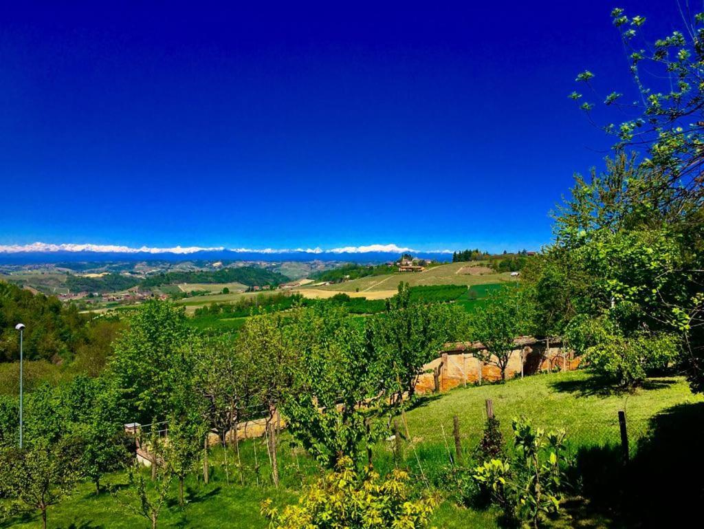 Cascina Cortine Bed & Breakfast Guarene Exterior foto